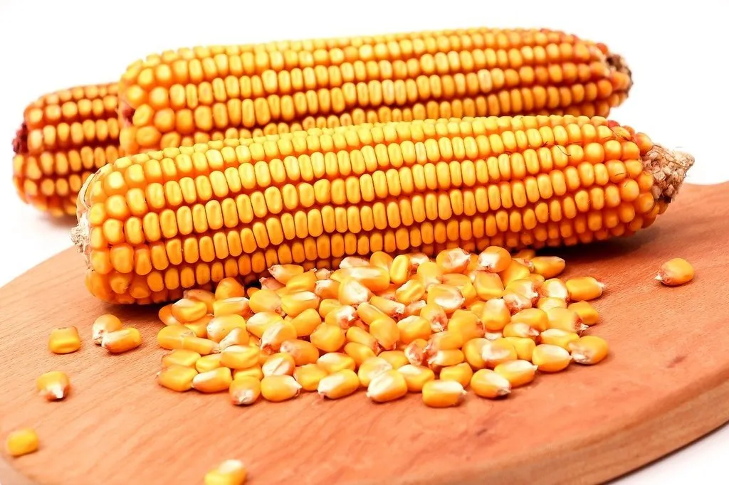 фотография продукта Кукуруза от производителя. 